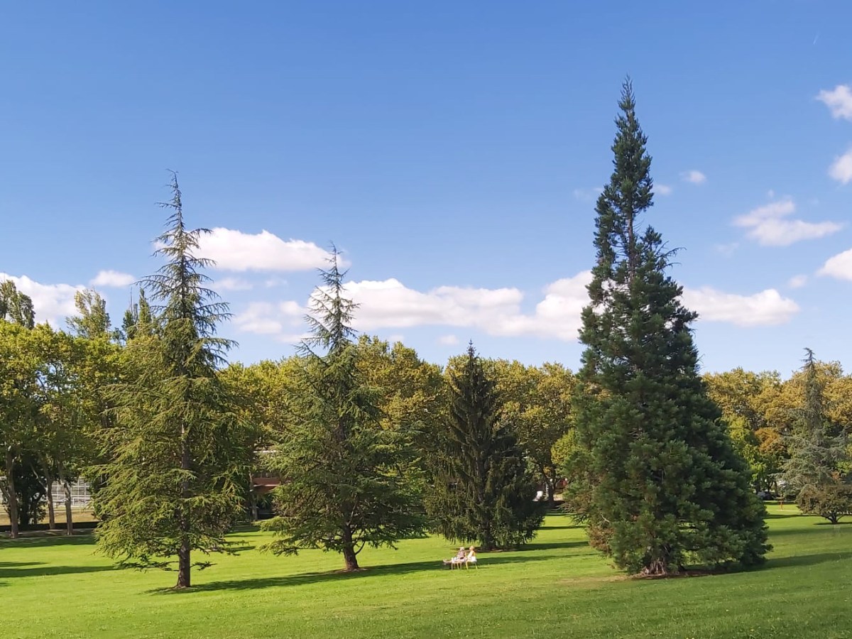 Conocimientos base sobre economía, actualidad y&nbsp;sostenibilidad